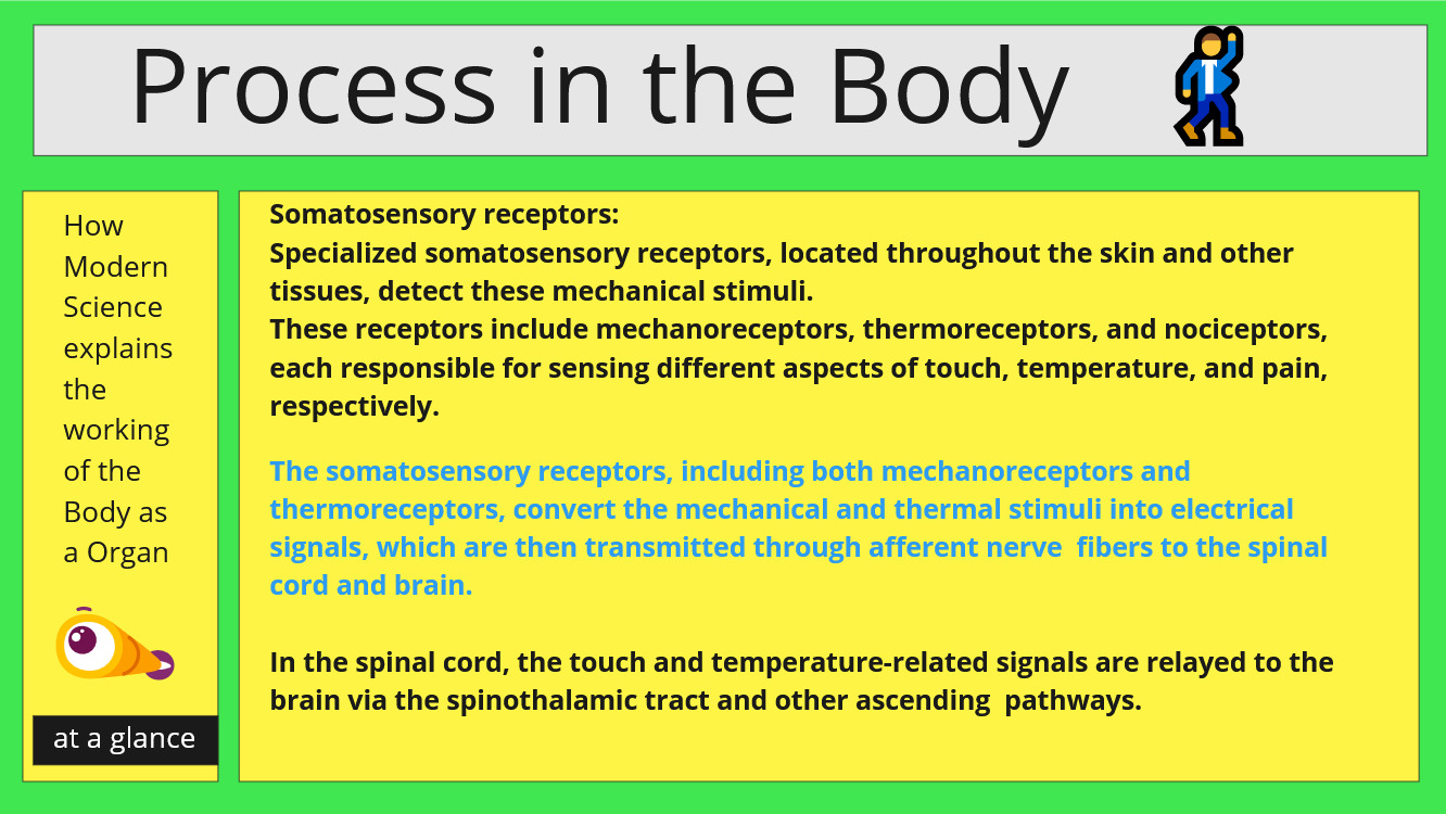 process on your body