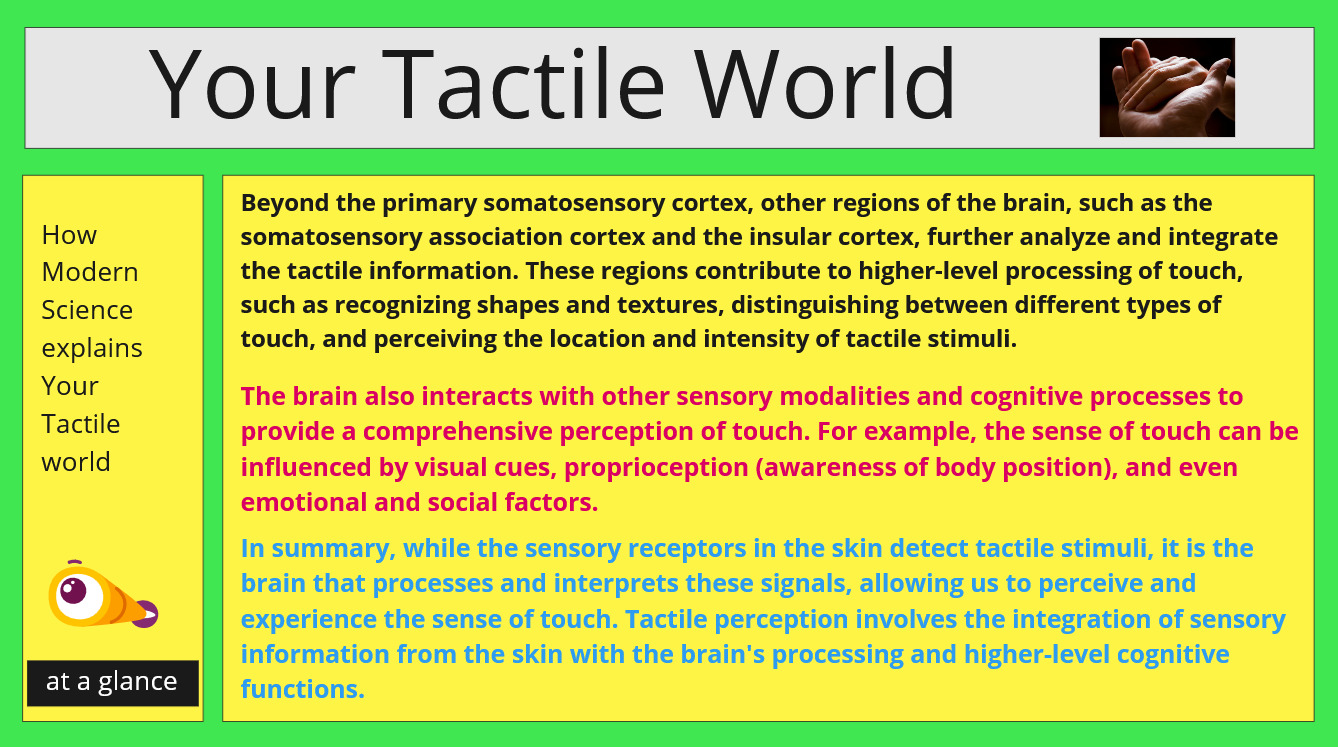 your tactile world