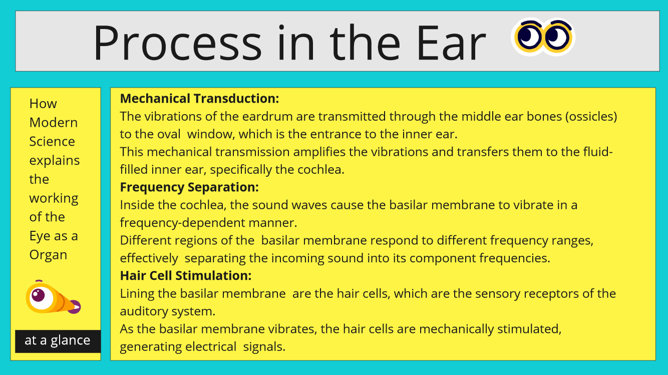 process in the ear