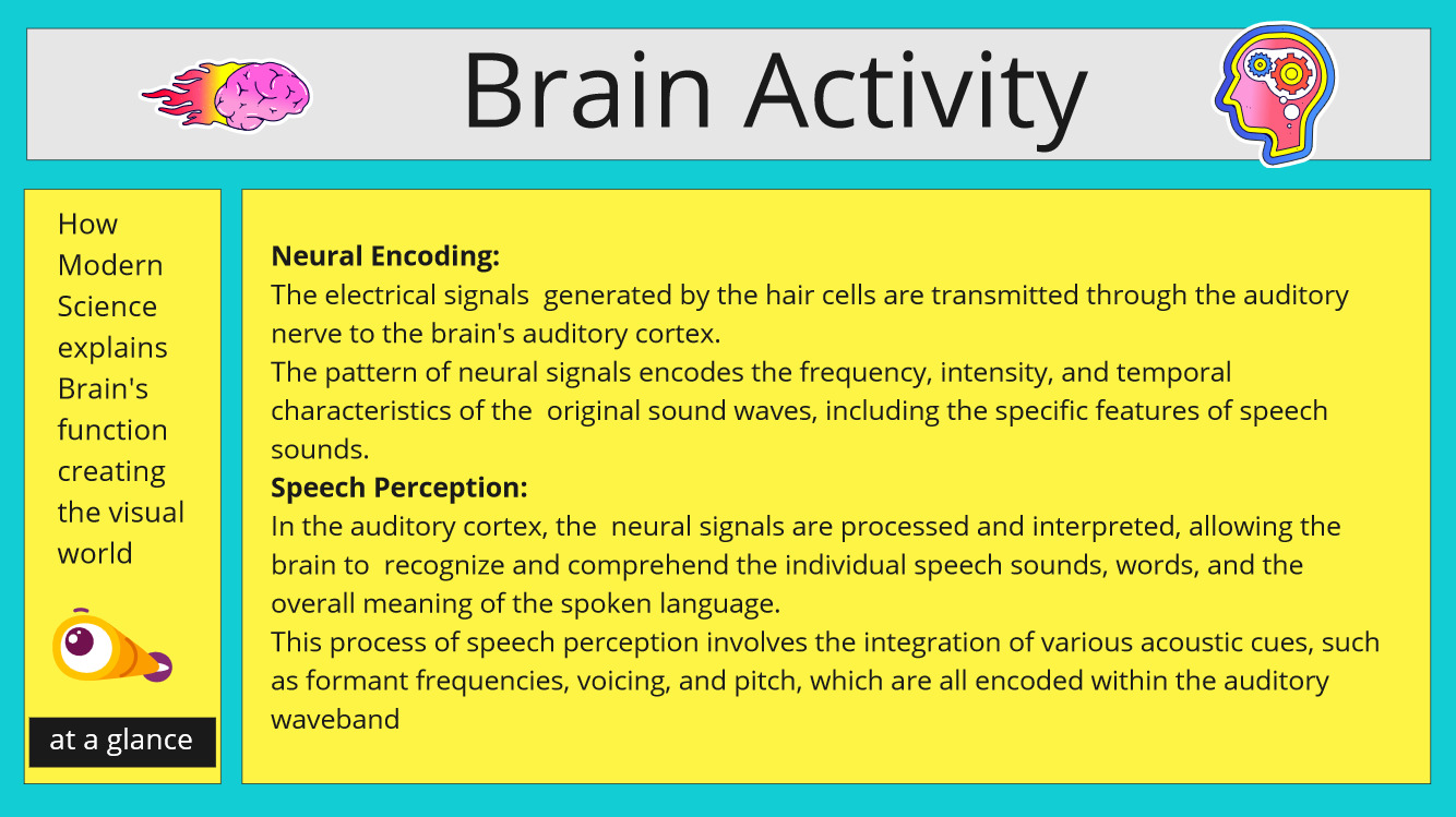 ear and brain activity
