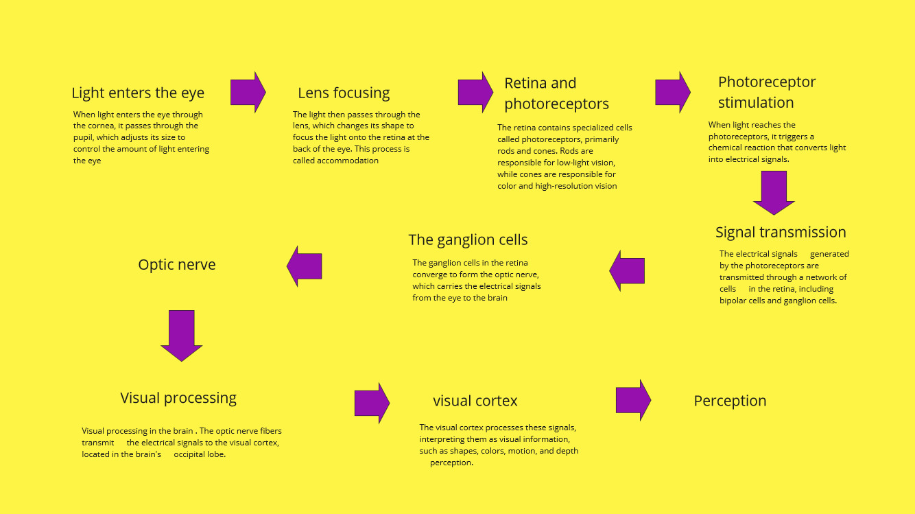 human vision A-Z