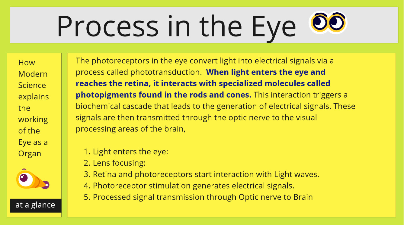 process in the Eye