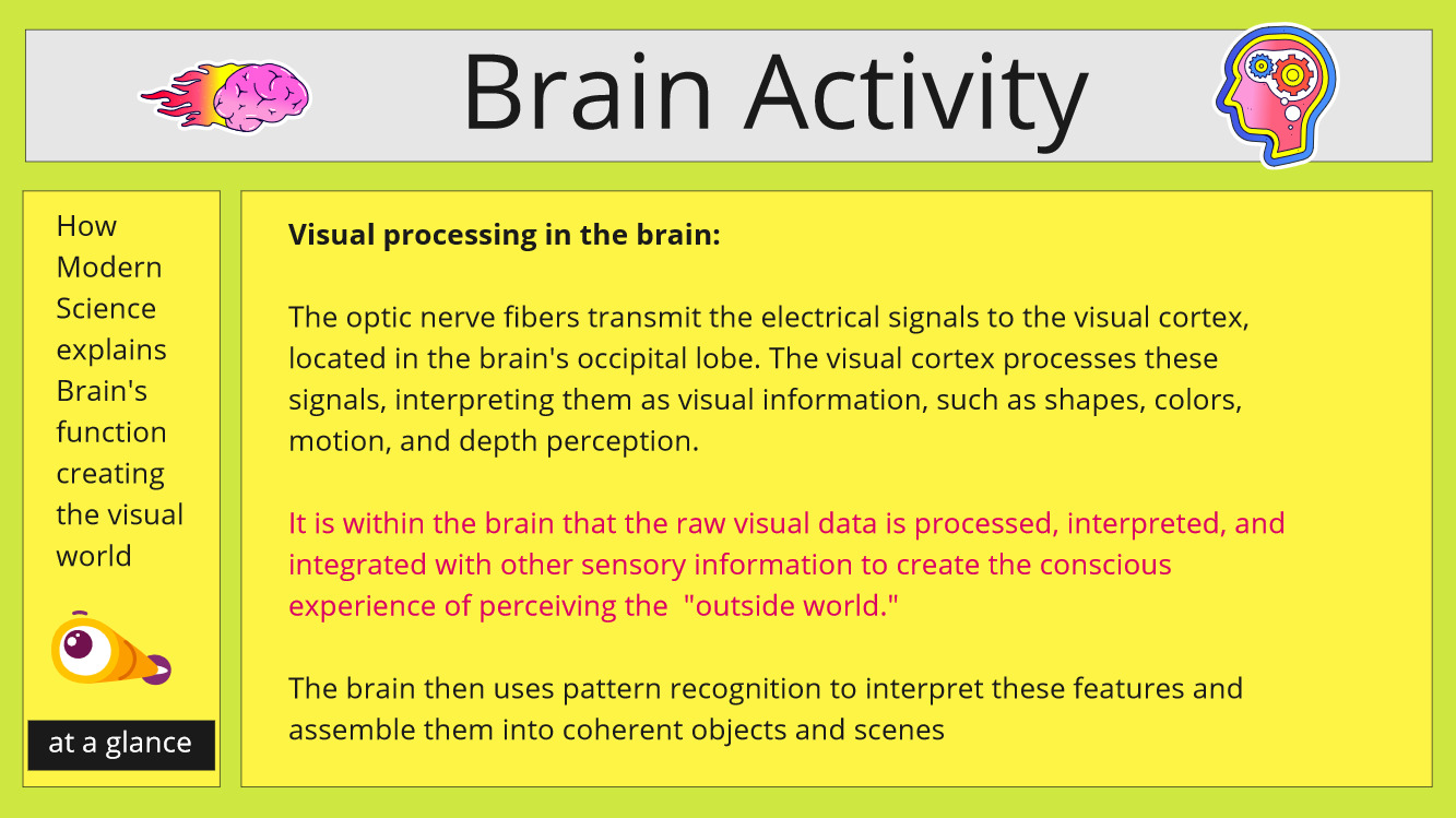 Brain activity concerning Vision