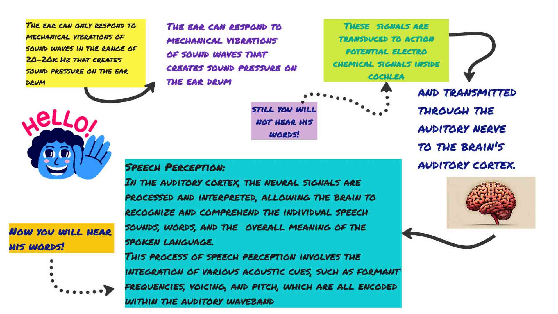 understand your auditory world with modern science