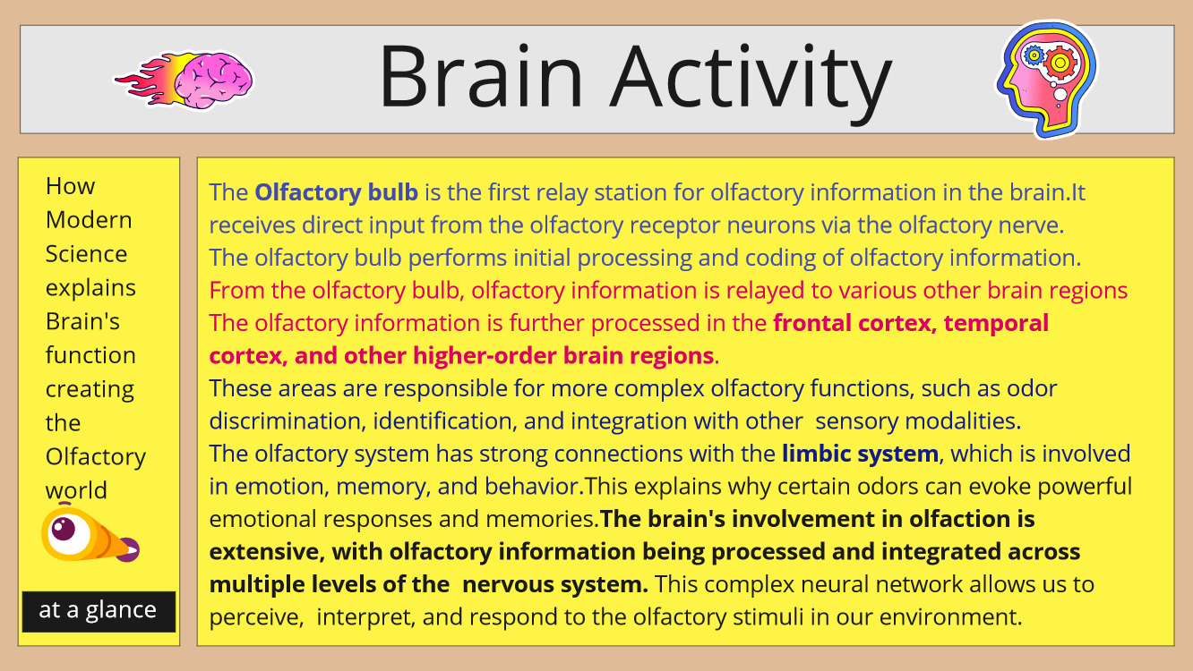 brain activity and odor