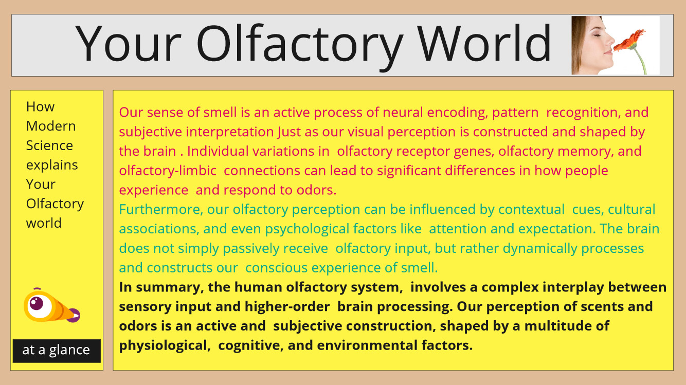 your olfactory world