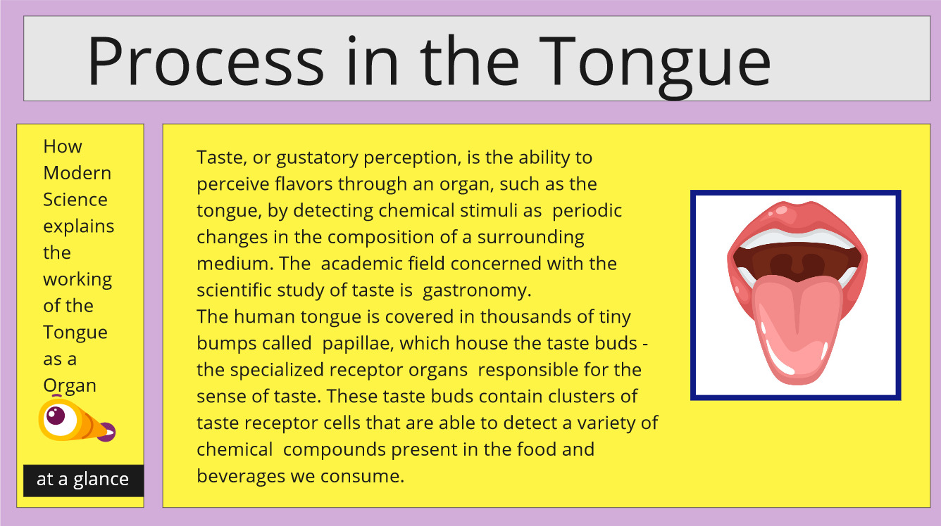 process in the tongue
