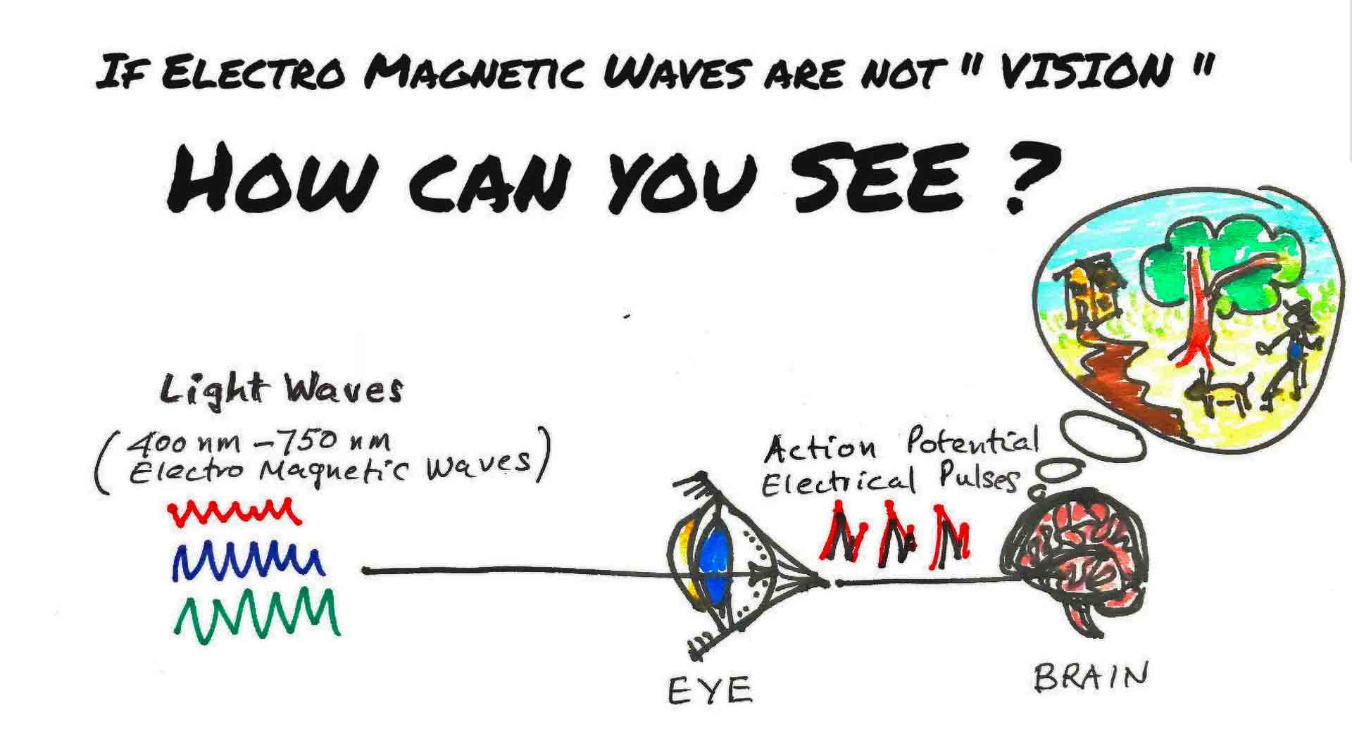 how you actually see the outside world